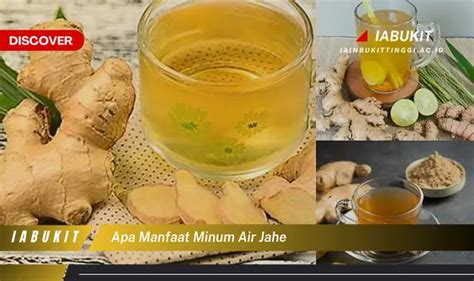 Temukan Manfaat Minum Air Jahe Yang Jarang Diketahui