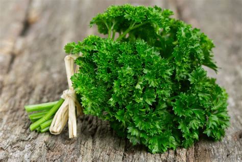 PARSLEY- Italian (Flat-Leaf) Fresh 6ct - LA Food Service