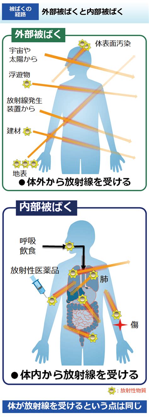 環境省外部被ばくと内部被ばく