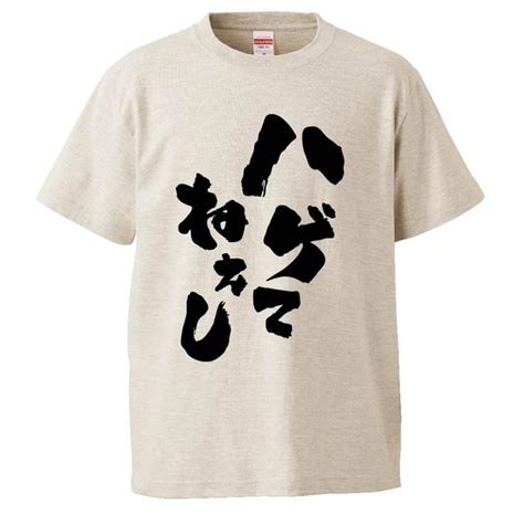 おもしろtシャツ はげてねぇし ギフト プレゼント 面白 メンズ 半袖 無地 漢字 雑貨 名言 パロディ 文字 Fd0076 みかん箱