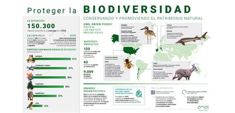 Cómo Interactúan Las Plantas Y Los Animales