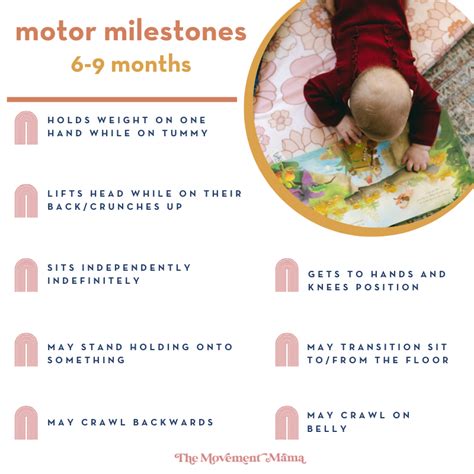 6 9 Month Cognitive Milestones Informacionpublica Svet Gob Gt