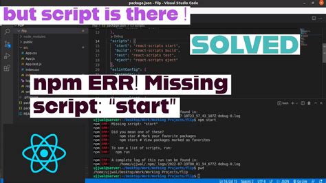 Npm Err Missing Script Start How To Fix This Error