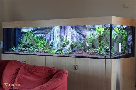 Увлечение Aquascaping Rescaping аквариум Aquarium Terrarium Nature