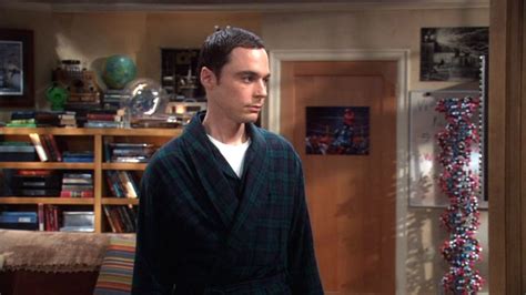 3x03 The Gothowitz Deviation Penny And Sheldon Image 22803492 Fanpop