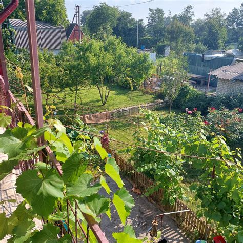 Продам дачу. "Павильон ". Власовка: 7 000 $ - Продаж будинків Власівка ...
