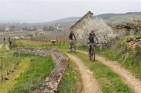 Beaune Cyclos présente la 2e édition de la Rando des Climats un