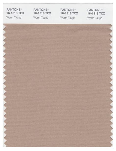 Pantone Smart 16 1318 Tcx Color Swatch Card Warm Taupe Magazine Cafe Store Nyc Usa