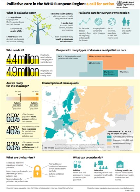 Infographic Palliative Care In The Who European Region A Call For