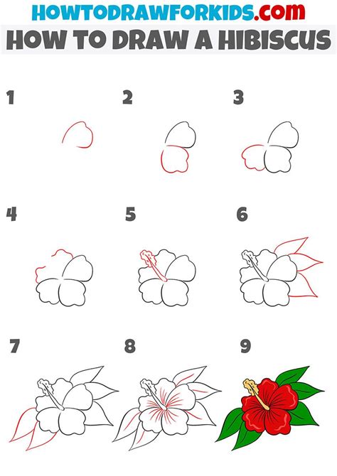 How To Draw A Hibiscus Flower Easy Step By Step