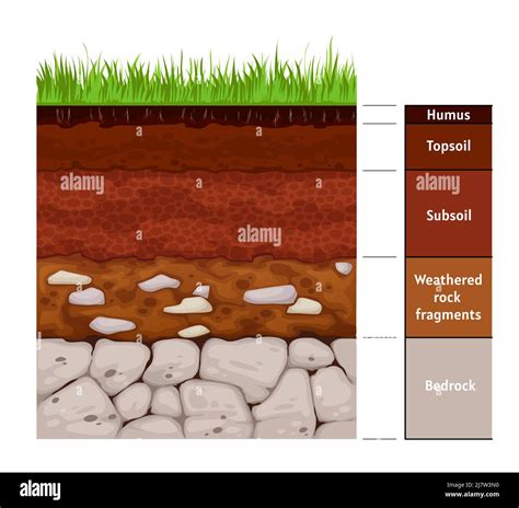 Soil layer infographic, earth geology formation bedrock, weathered rock ...