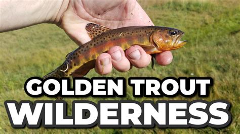 Backpacking And Fishing The Golden Trout Wilderness Inyo National