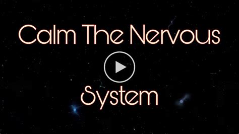 Music To Calm The Nervous System Recovery Of The Nervous System YouTube