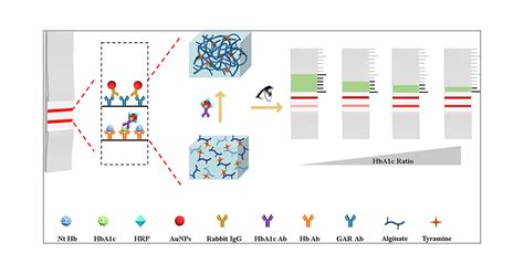 Naked Eye Readout Distance Quantitative Lateral Flow Assay Based On The Permeability Changes Of