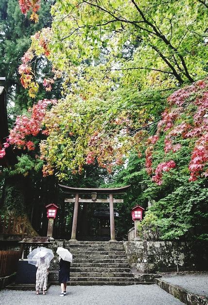 Premium Photo Rear View Full Length Of People Standing By Torii Gate