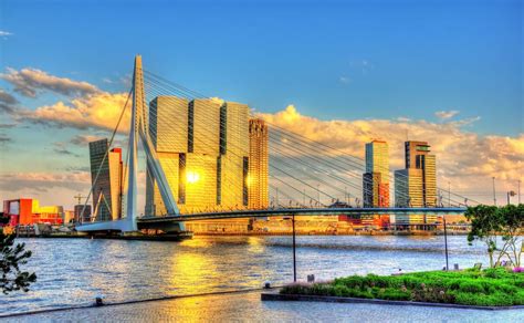 Things To Do In Rotterdam