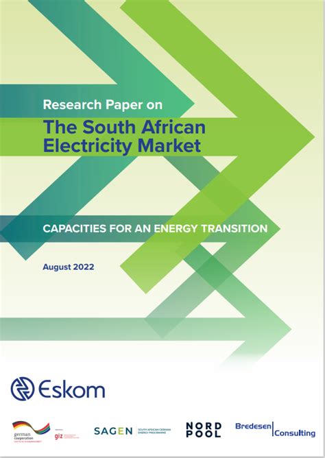 Sagen Research On The South African Electricity Market