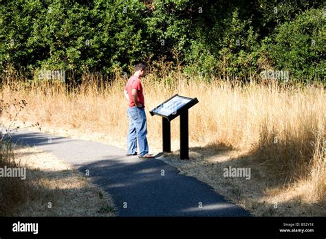 A Man Looking At A Tourist Information Sign In Marin Headlands Ca Stock