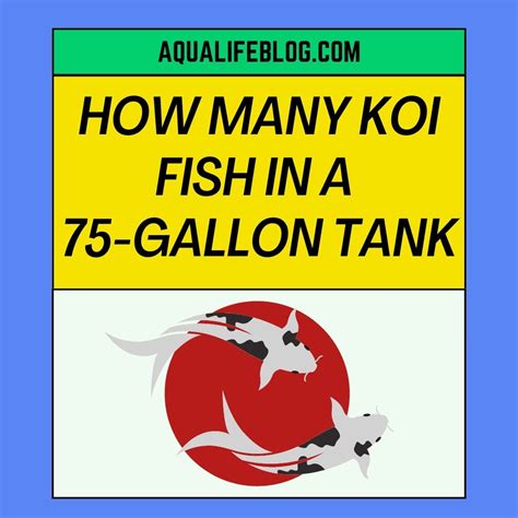 How Many Koi Fish Should Be In A 75 Gallon Tank? ( Suitable tank sizes ...