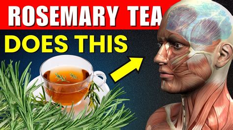 What Happens To Your Body If You Drink Rosemary Tea Daily 10 REASONS