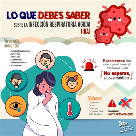 Todo Lo Que Necesitas Saber Sobre Las Infecciones Respiratorias