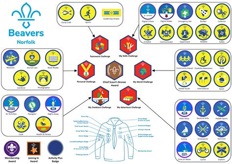 Beaver Scouts Norfolk Scouts Providing Fun Excitement And Skills