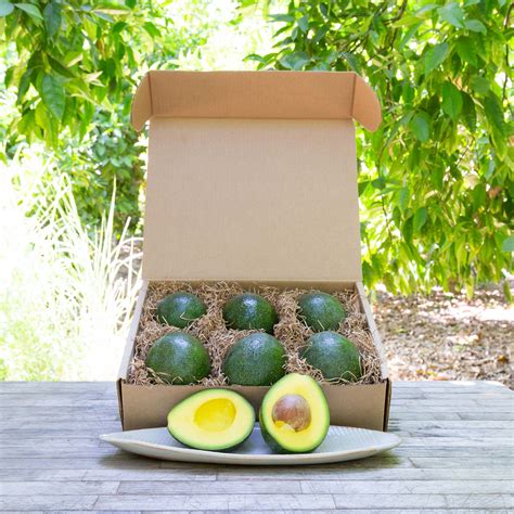 Organic Reed Avocados - Frog Hollow Farm