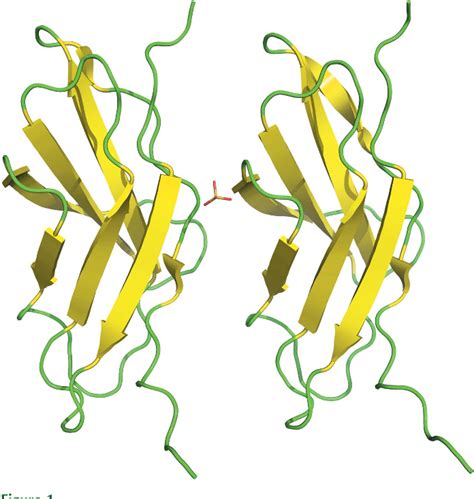 Figure From Structure Of A Fibronectin Type Iii Like Module From