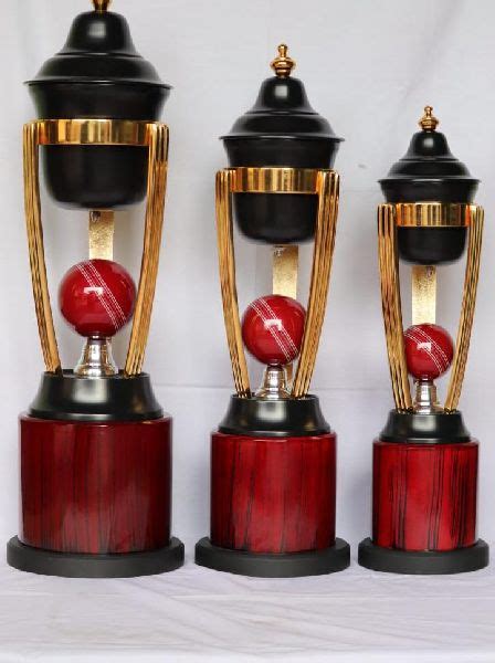 Polished Batsman Cricket Trophy Feature Attractive Designs Rust