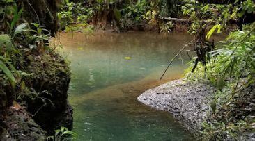 Parque Ecológico Venado Verde vía Buenaventura Lobogerrero Km 22