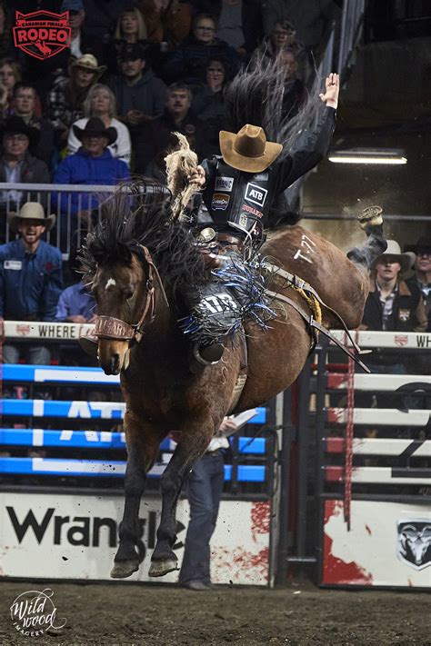 New CFR Record in the Saddle Bronc Riding - EverythingCowboy.com