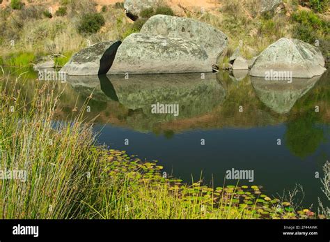 Murrumbidgee River Hi Res Stock Photography And Images Alamy