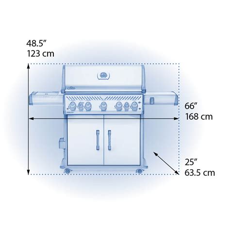 Rogue Se Rsib Gas Bbq By Napoleon Groupe Belleflamme