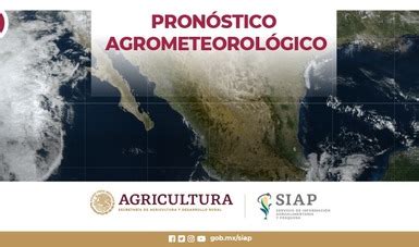 Pron Stico Agrometeorol Gico Servicio De Informaci N Agroalimentaria