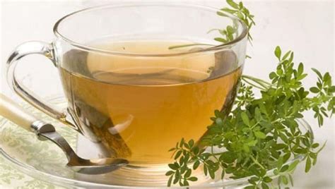 Para qué sirve el té de ruda y qué beneficios trae a la salud El