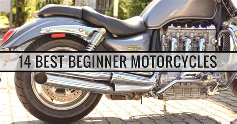 What Is A Good Size Motorcycle For Beginners | Reviewmotors.co