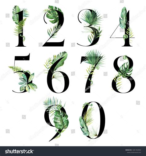 27384 Tropical Numbers Images Stock Photos And Vectors Shutterstock