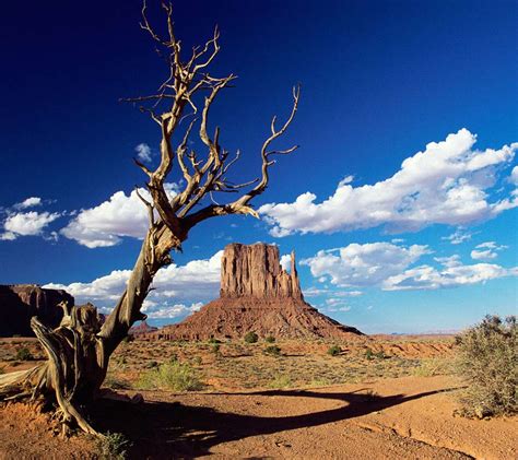 Arizona Desert Scenes Wallpaper - WallpaperSafari