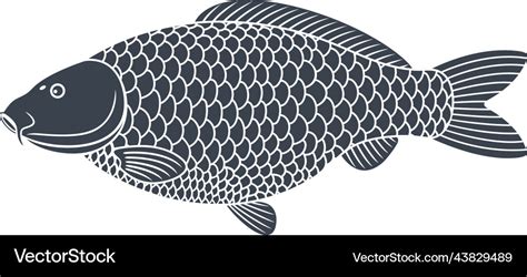 Carp Royalty Free Vector Image - VectorStock