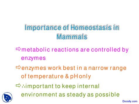 Importance Of Homeostasis In Mammals Different Branches Of Biology