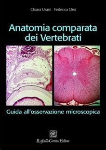 Anatomia Comparata Dei Vertebrati Guida All Osservazione Microscopica