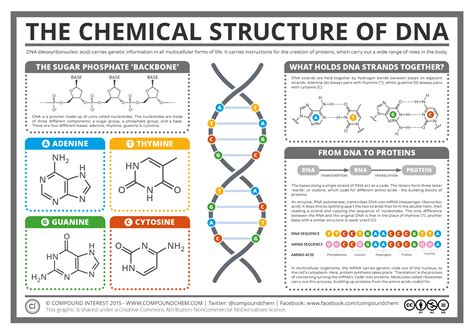 Chemistry Lessons Biology Lessons Biology Notes Ap Biology Science