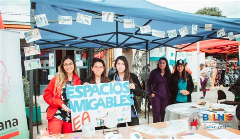 Feria De Salud Mental En Paseo Palacios Municipalidad De Bulnes