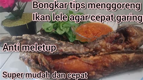 Cara Menggoreng Ikan Lele Agar Cepat Matang Dan Garing Dijamin Tidak