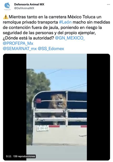 PROFEPA on Twitter En atención a este reporte la PROFEPA Mx ya se