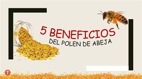 Beneficios Del Polen Para La Salud Youtube