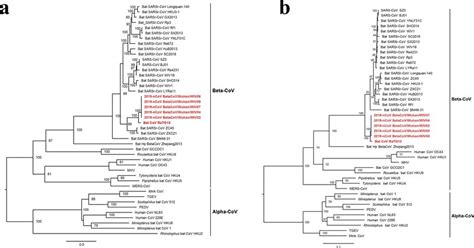 Phylogenetic Trees Based On The Complete S And Rdrp Gene Sequences Of