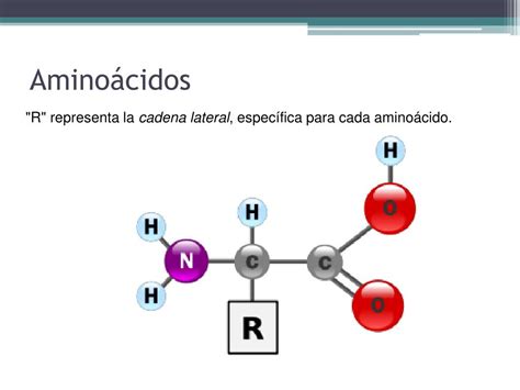 Ppt Bioquimica De Las Proteinas Powerpoint Presentation Free