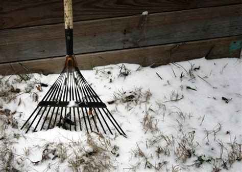 Entretien Du Gazon En Hiver Que Faire Pour Une Pelouse Au Top