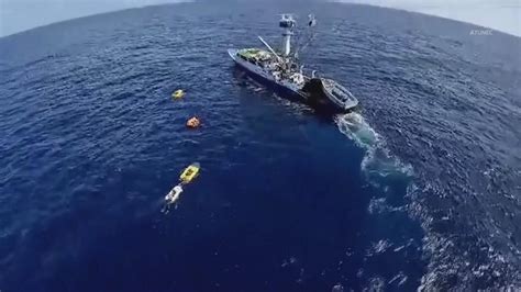 La Barca Si Scontra Con Una Balena Otto Naufraghi Salvati Dopo Due